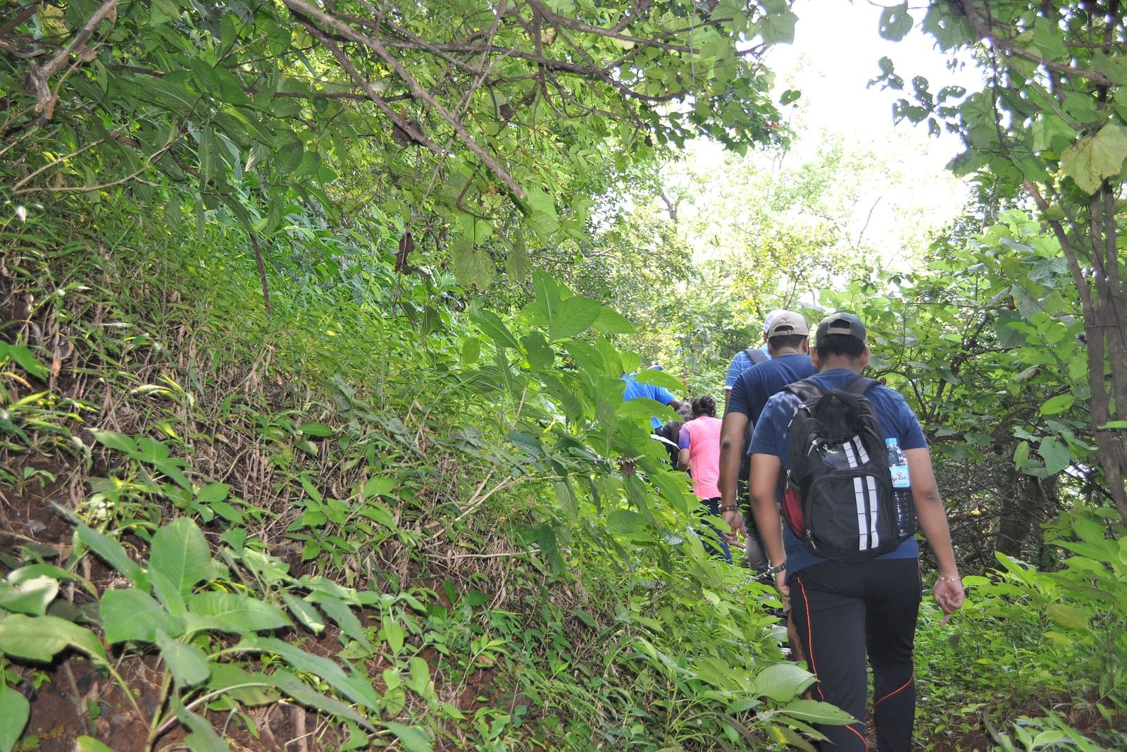 Hikers at Forest Escapes Koyna explore a natural trail through dense foliage.