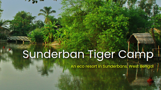 Sunderban tiger camp
