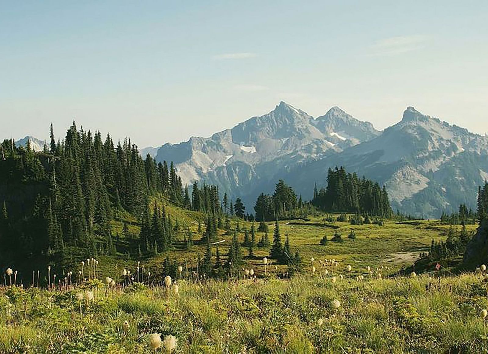 A view of a grassland with a forest in the mid-ground and a mountain range in the backdrop