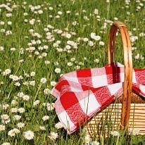 An image of a basket covered by a piece of cloth on  land filled with flowers