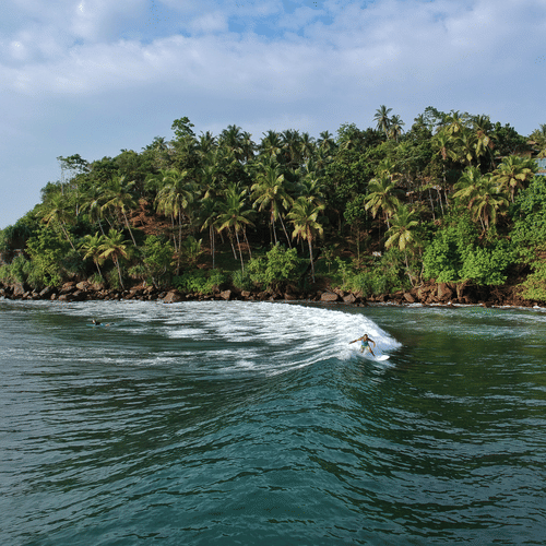 waves travelling to towards the shore with a forest in the background