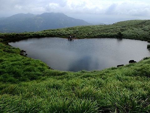 Beautiful view from Chembra-peak