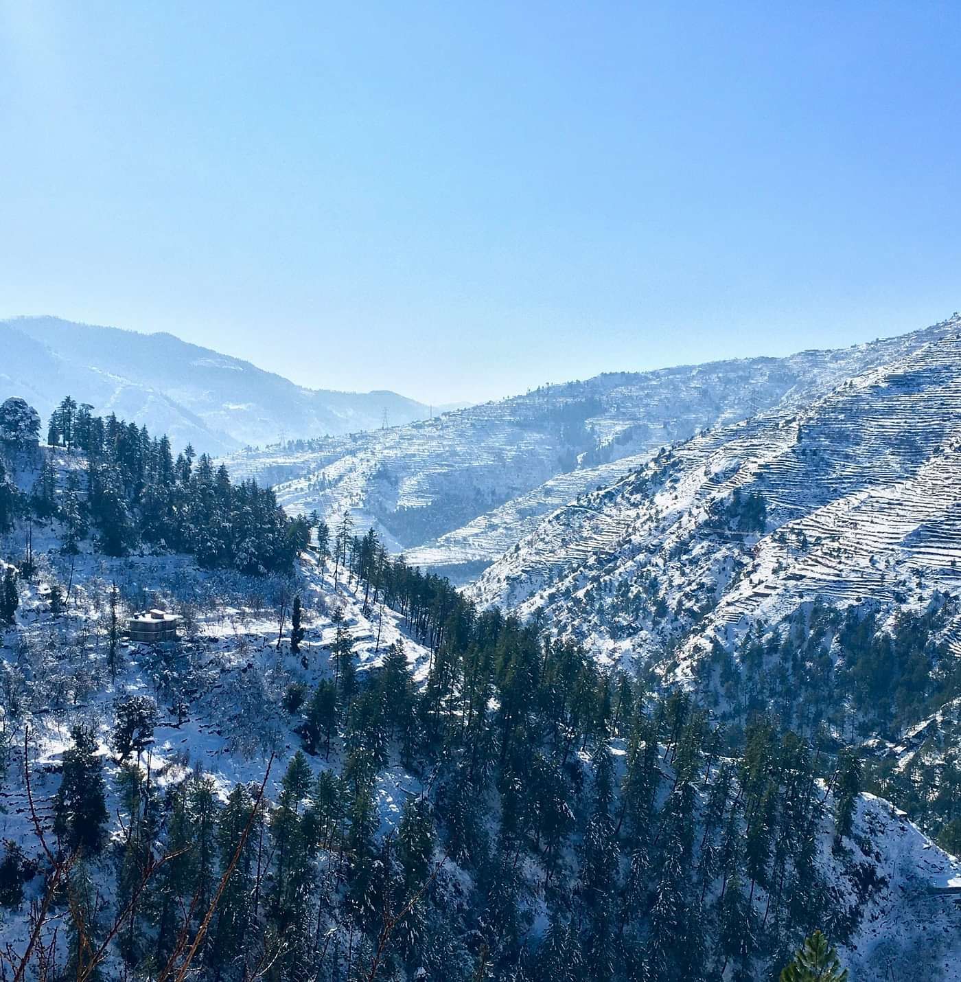 a beautiful landscape of shimla with covered with white snow with trees everywhere