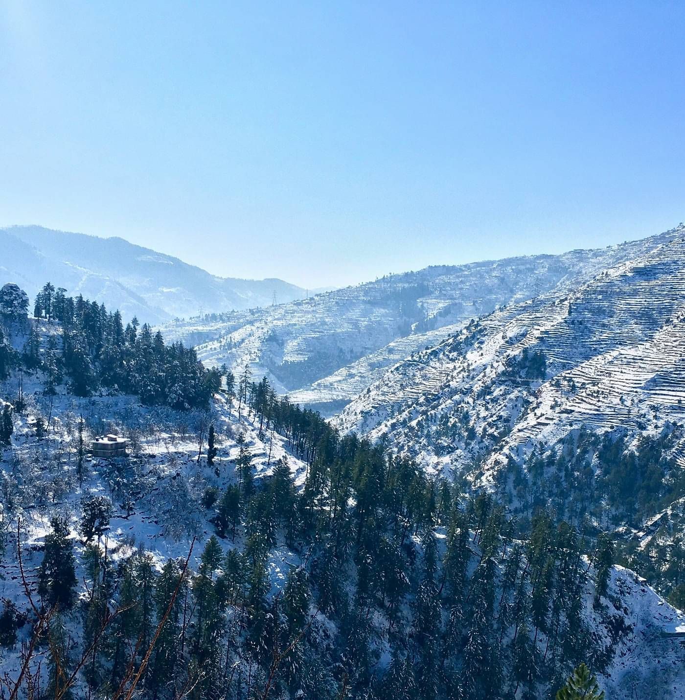 a beautiful landscape of shimla with covered with white snow with trees everywhere