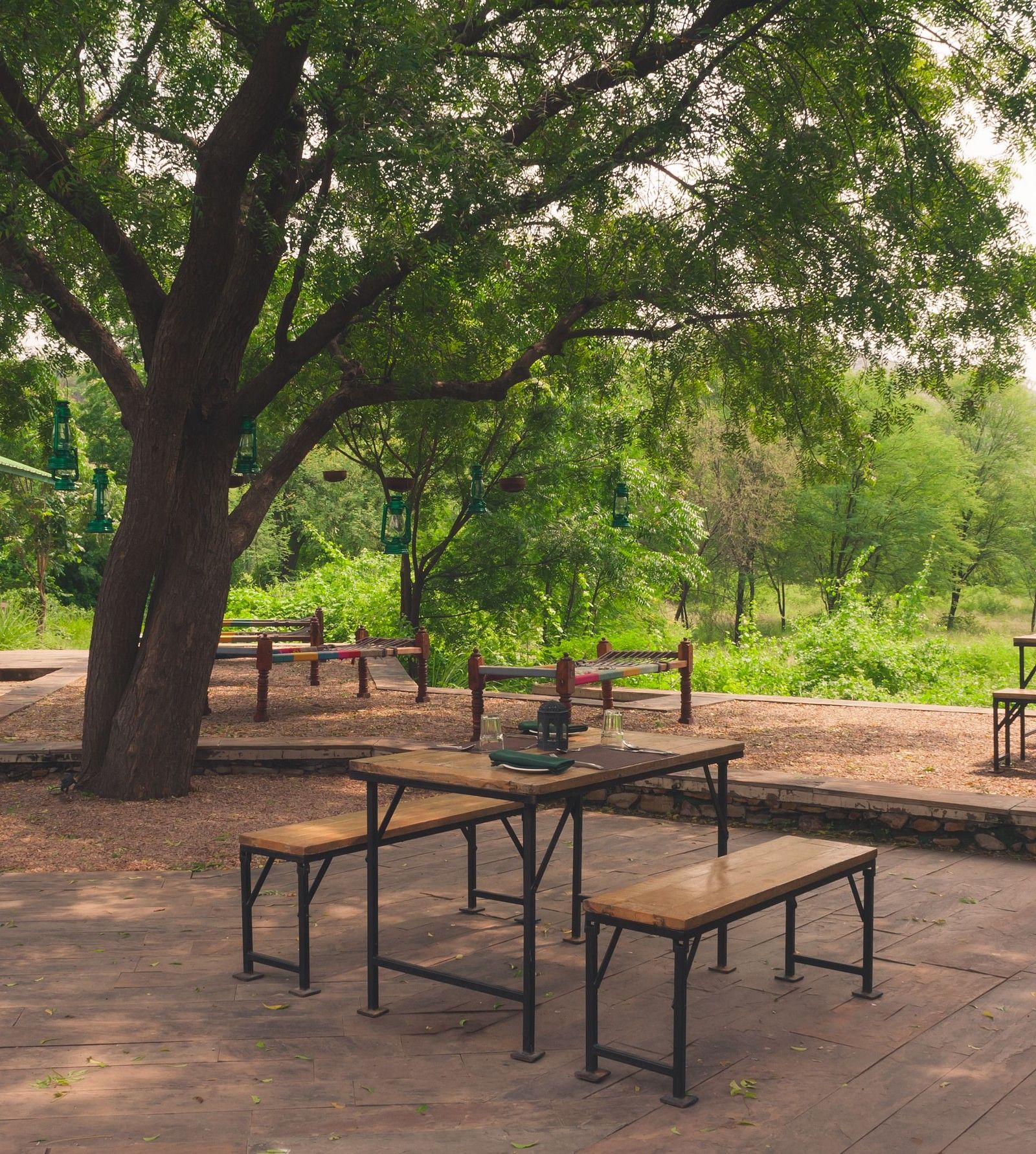 The outdoor dining area at our lodge in Sariska - Trees N Tigers, Sariska