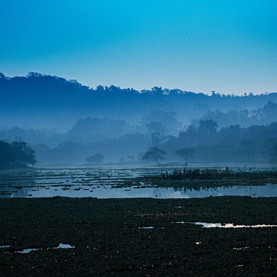 girish-dalvi-T611Qd6csbE-unsplash nazl40