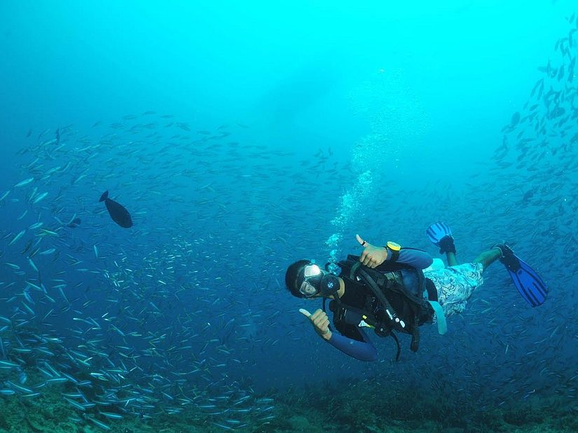 Scuba Diving