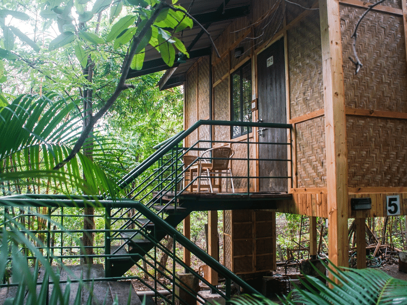 Tree top rooms mounted on wood stilts, nestled among the trees at Nature Trails Sajan.