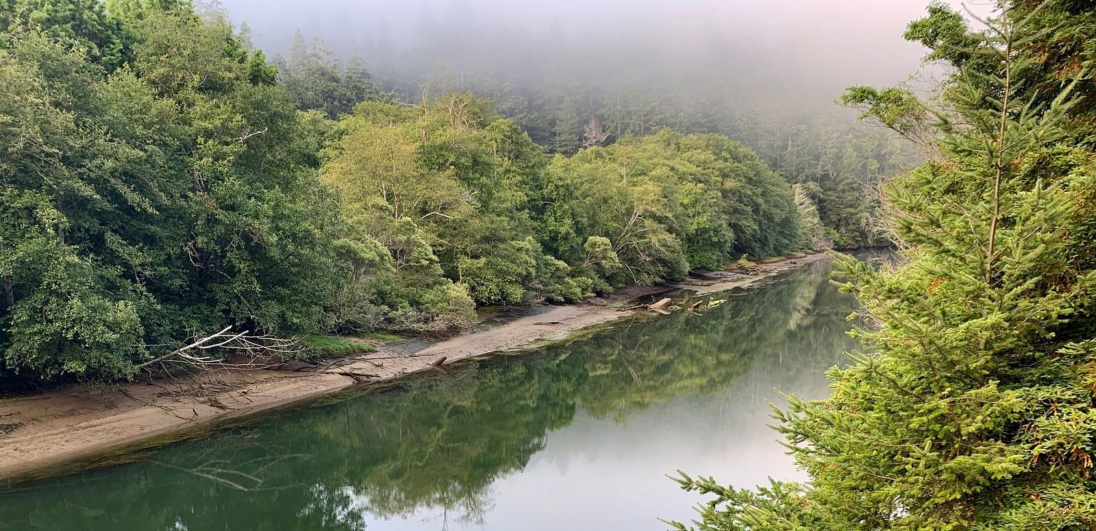 A river runs through a densely forested area, with mist obscuring the distant trees and reflecting on the water's surface.