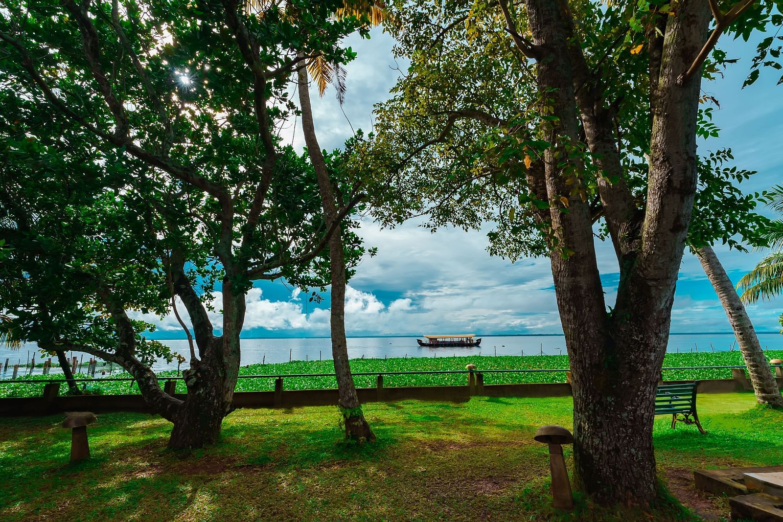 an image of field of trees with a boat gently floating in the distance. - Rhythm Kumarakom