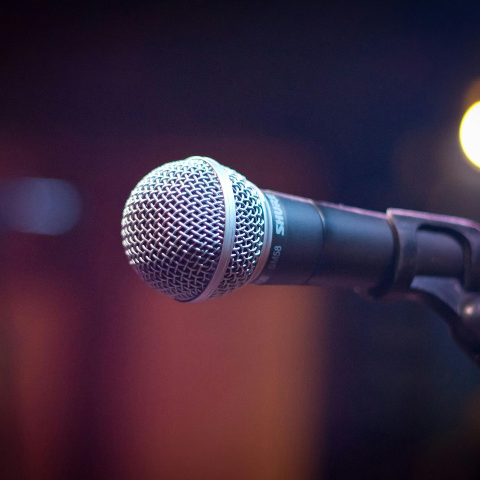 image of a microphone mounted on a stand