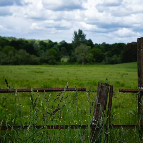 a wooden fence around a field