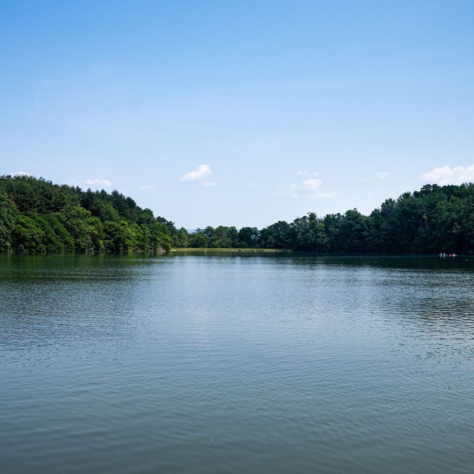 Calm lake surrounded by dense tree cover.