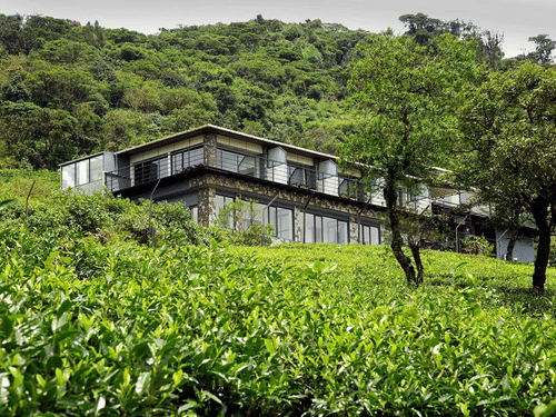  A large, multi-story building with a modern design, featuring numerous windows and balconies, nestled amidst a vibrant green tea plantation on a hillside.