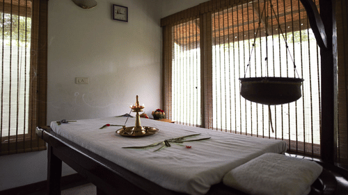 Ayurvedic Spa in Thekkady, Spa in Thekkady, Abad Green Forest, Thekkady-20