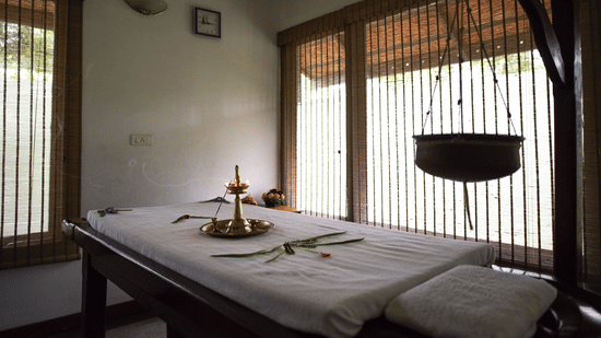 Ayurvedic Spa in Thekkady, Spa in Thekkady, Abad Green Forest, Thekkady-20