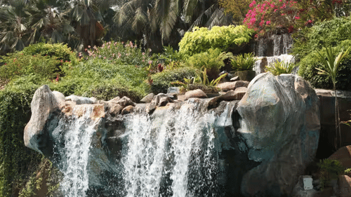 A Waterfall flowing over rocks into a blue pool surrounded by tropical plants and palm trees.