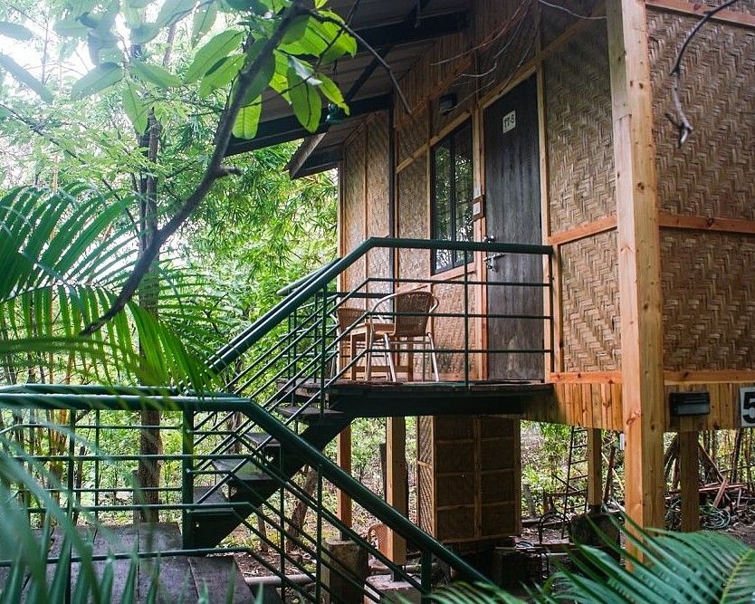 Tree Top Exterior - Sajan -Nature Trails Sajan Tree Top AC Rooms providing a unique stay experience high above the forest floor.