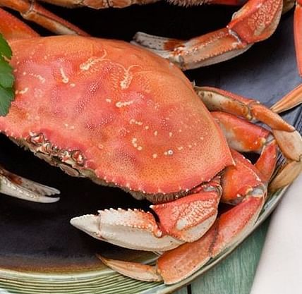 A cooked crab on a plate with a lemon, seafood utensils, and a napkin beside it.