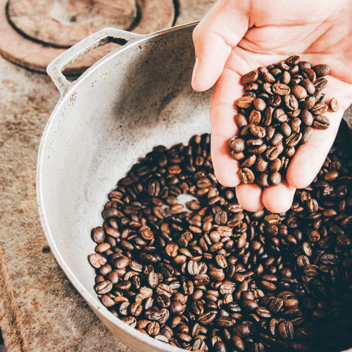 A hand holds a pile of roasted coffee beans over a large metal pot filled with more beans.