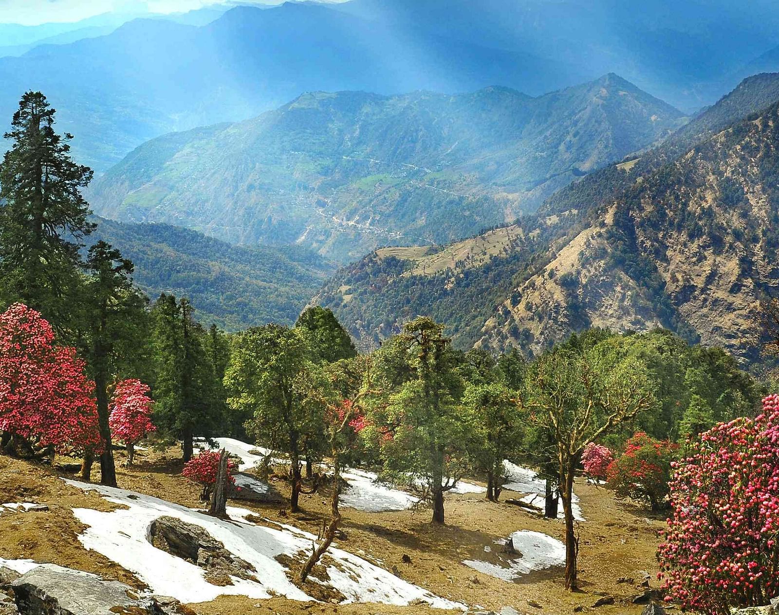Almora