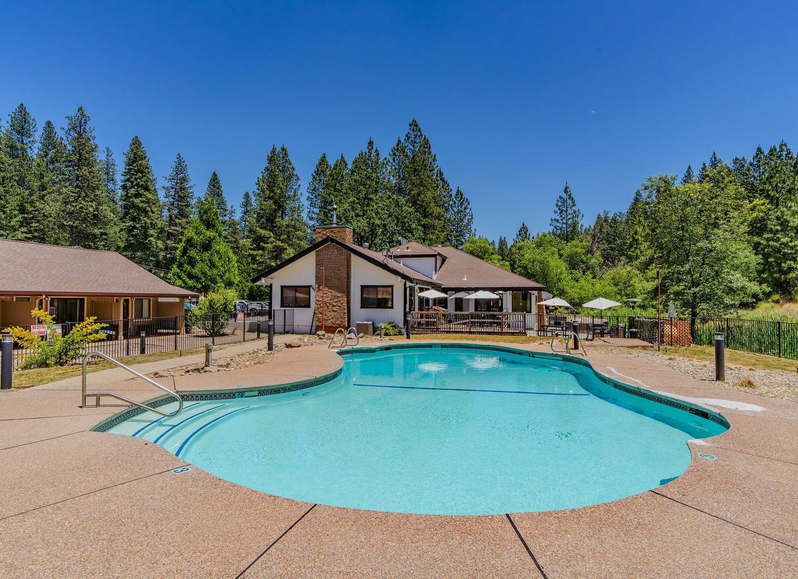 A view of the outdoor swimming pool at Amador Hotel with a cabin in the woods in the backdrop.