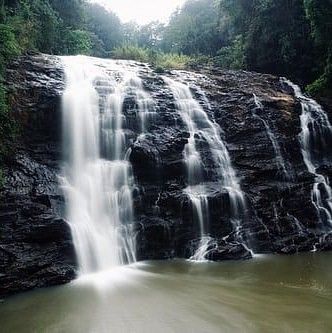 A waterfall flowing in a dense forest.