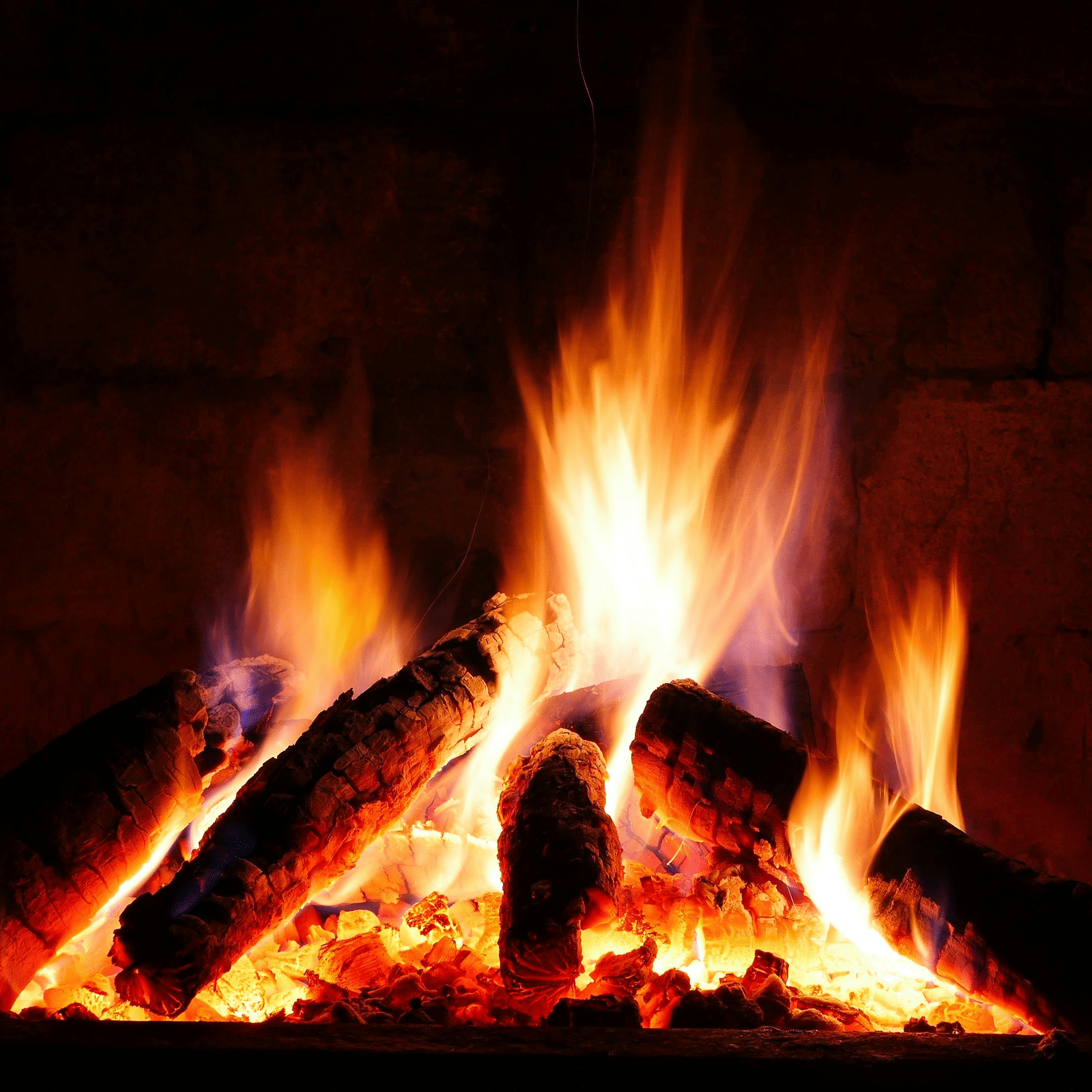 Close up of burning logs during a bonfire seen in the dark.