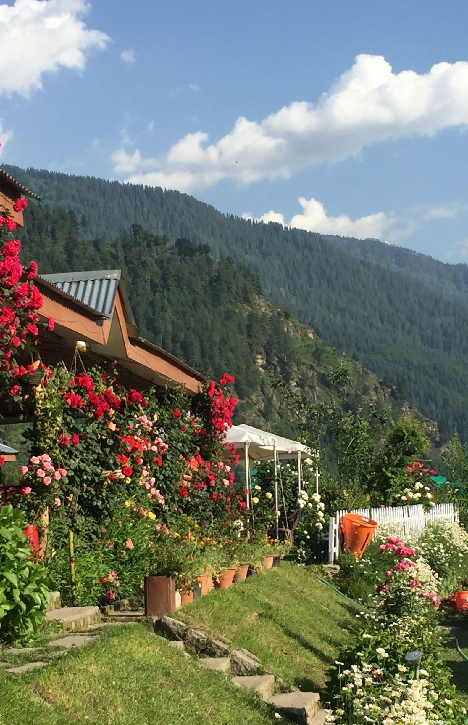 Image of a valley and a cottage with flowers covering it at Summit Chandertal Regency Hotel & Spa
