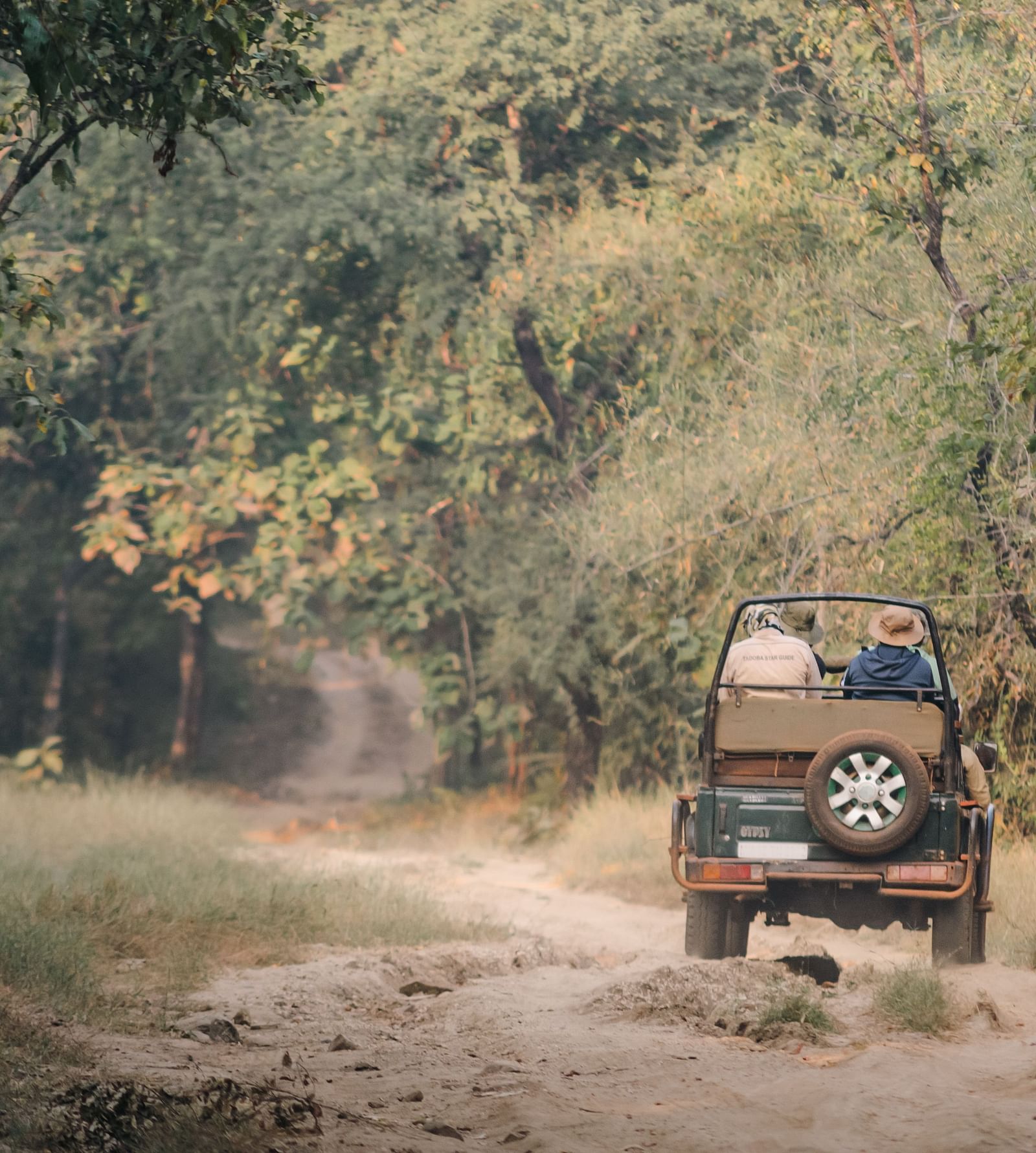 A Jeep travelling on a mud road on a safari ride at Trees N Tigers, Tadoba.