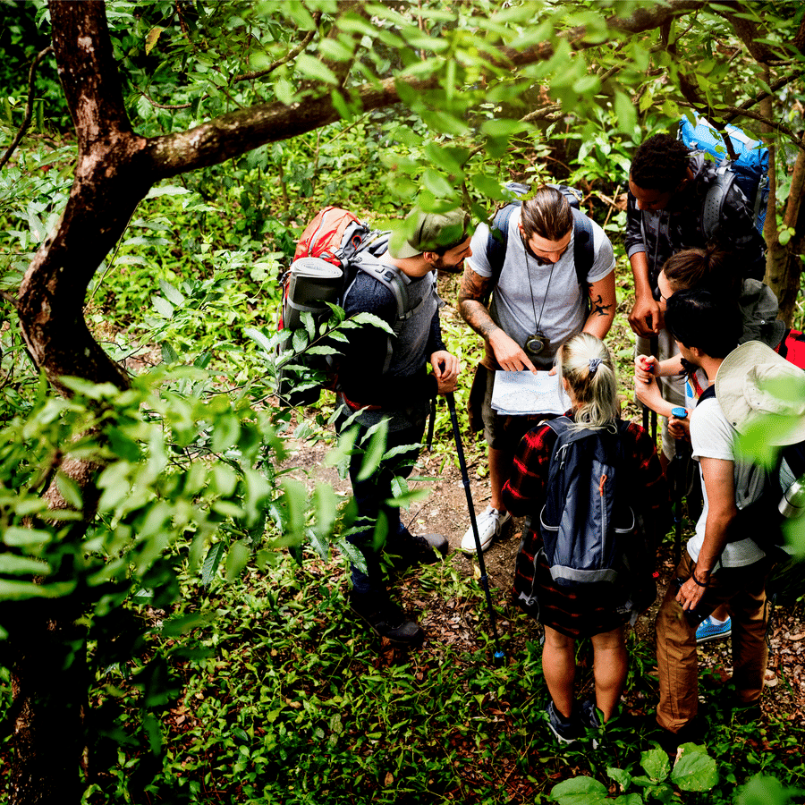 Several backpackers pause on a wooded path, huddled around a map as they plan their route amid lush greenery.