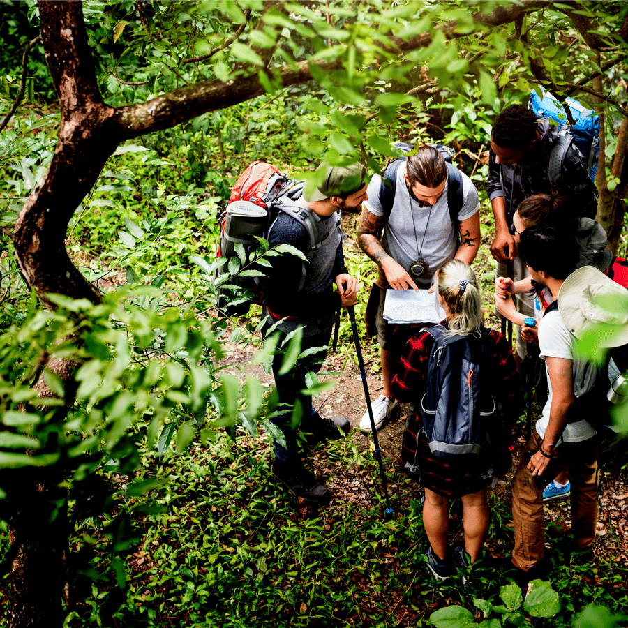 Several backpackers pause on a wooded path, huddled around a map as they plan their route amid lush greenery.