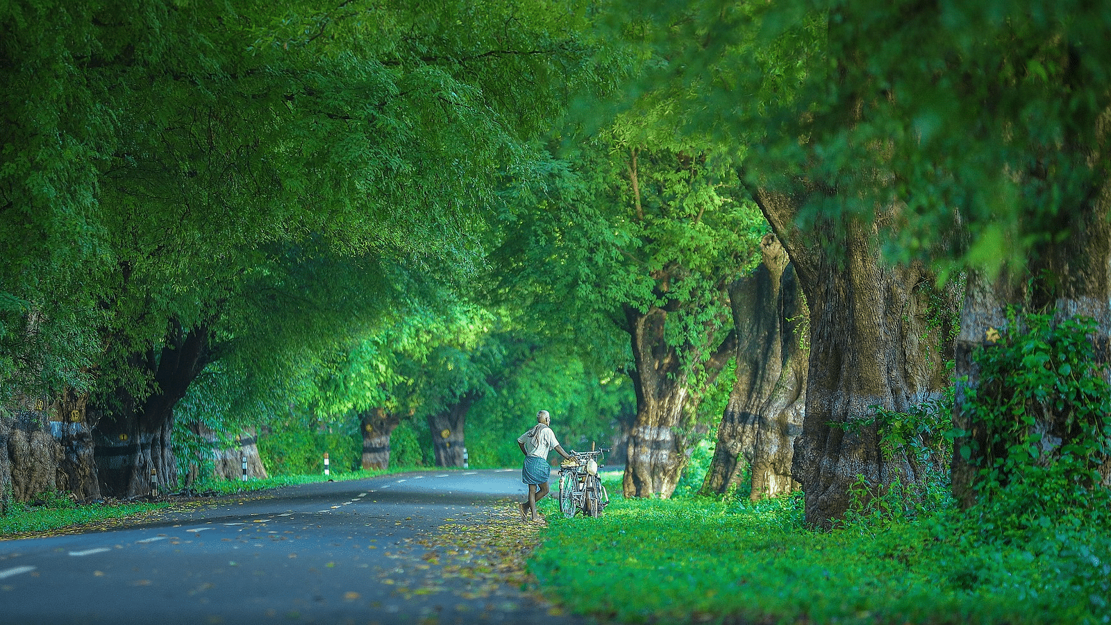 india-6257306 1920