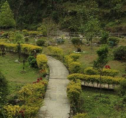 sewaro-rock-garden1 iocvyy