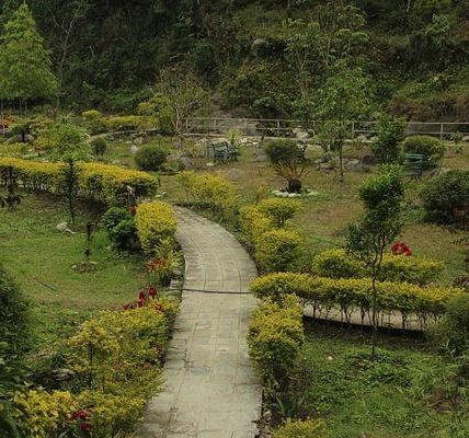 sewaro-rock-garden1 iocvyy