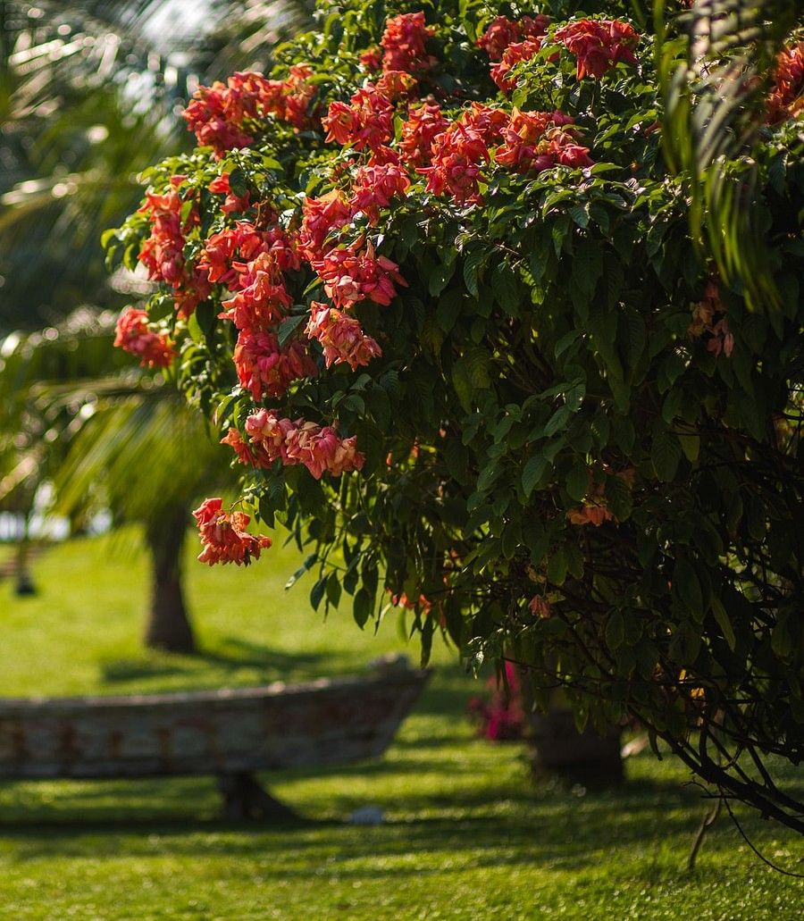 Facilities,Hamsa Villas Goa, Best Resort In Goa 20