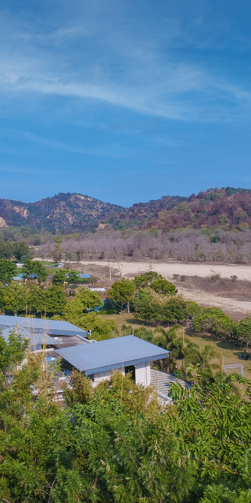 Reach us page cover image - Golden Tusk