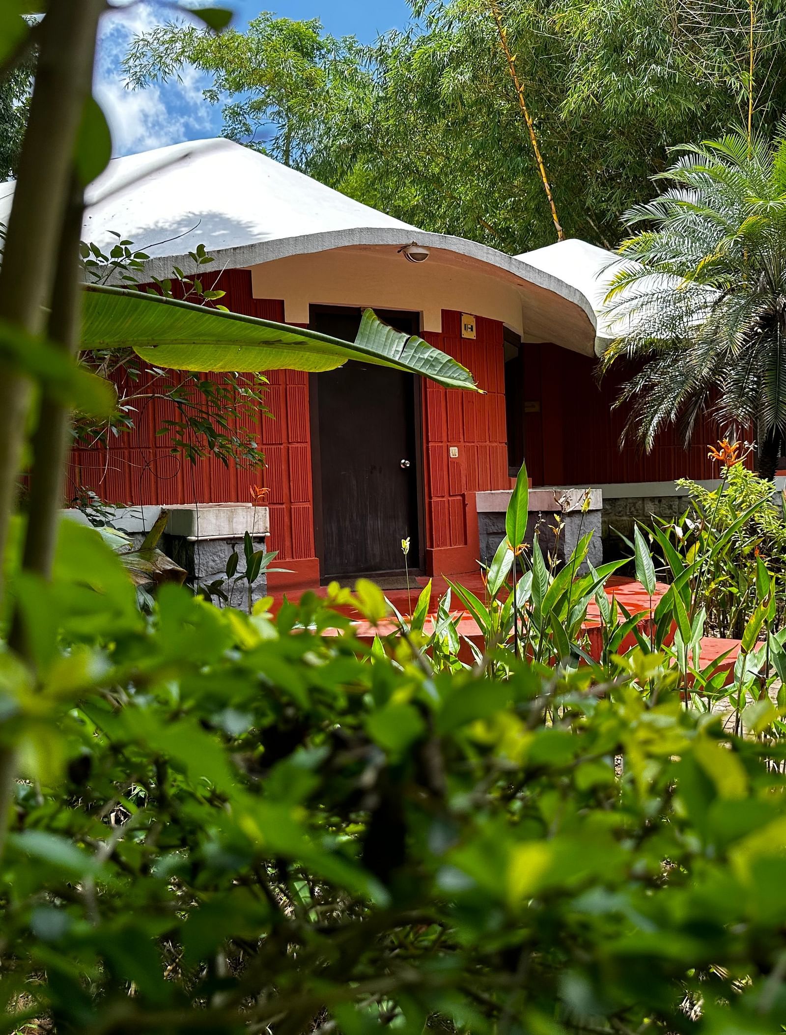 a cottage with bushes and trees all around - Kadkani River Resort, Coorg