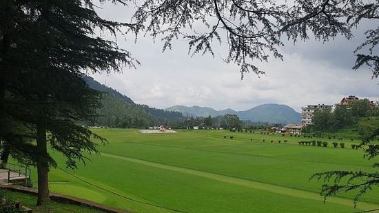 A panoramic view of a lush, green field with a backdrop of mountains, framed by trees, under a cloudy sky.