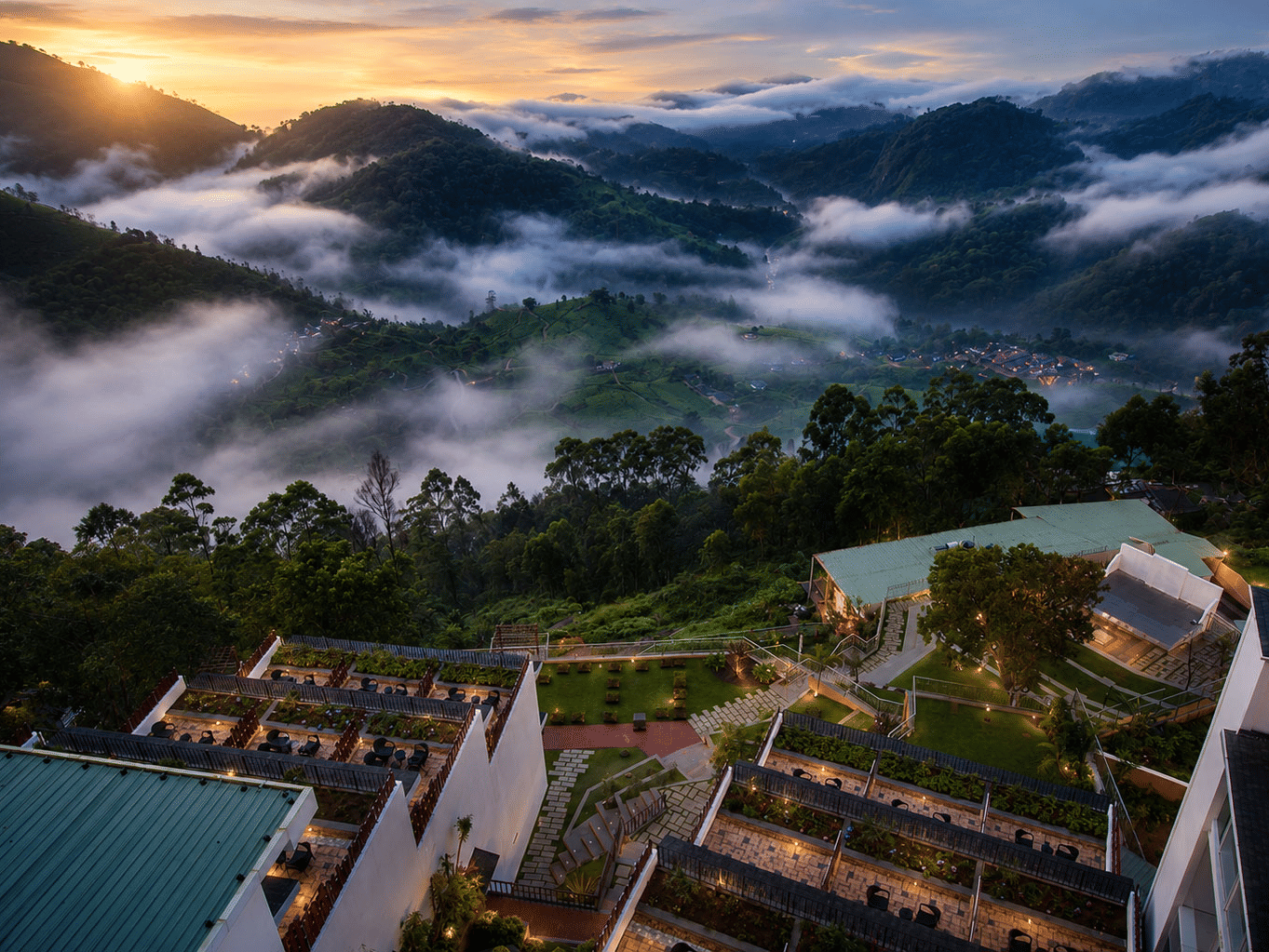 Fragrant-Nature-Munnar-Outdoor-view