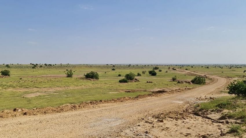 An image of an open field with sparse vegetation