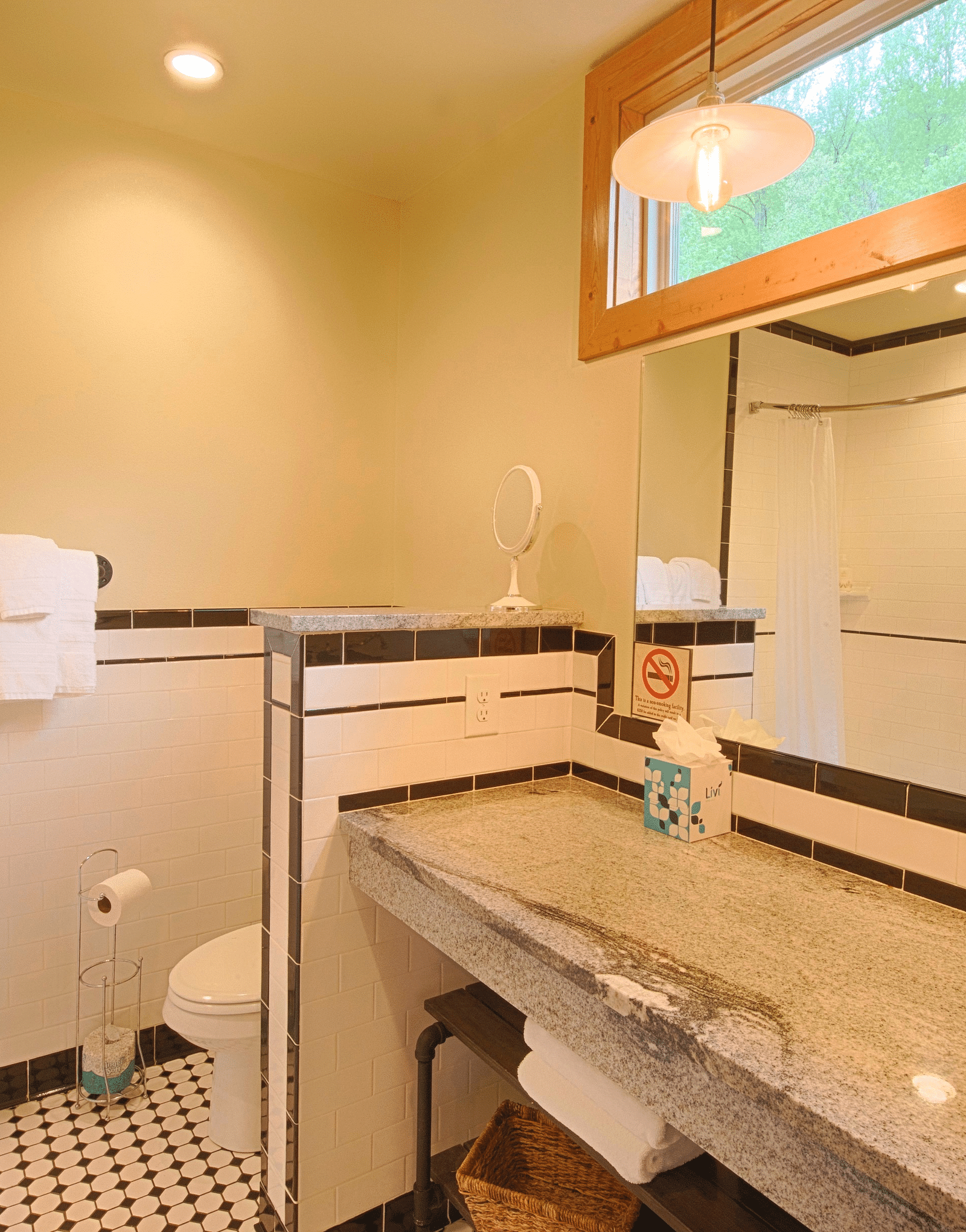 a bathroom featuring a huge mirror over a washbasin and a commode besides it - Historic Tapoco Lodge