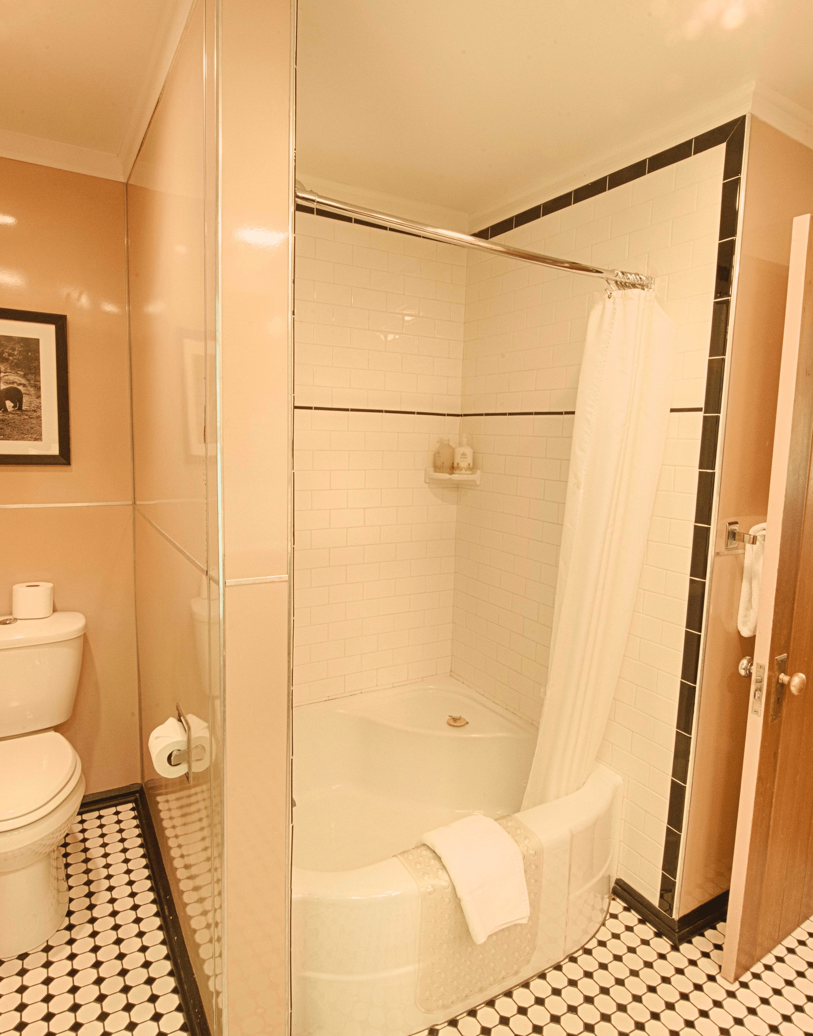 full view image of a bathroom with a commode and a bathtub with the door opening towards the room - Historic Tapoco Lodge