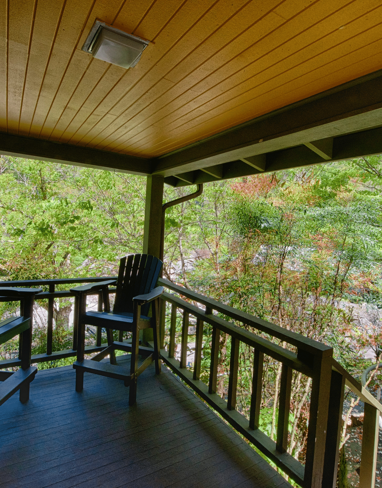 a porch with two chairs places in the corner with a mesmerizing views of the nature - Historic Tapoco Lodge