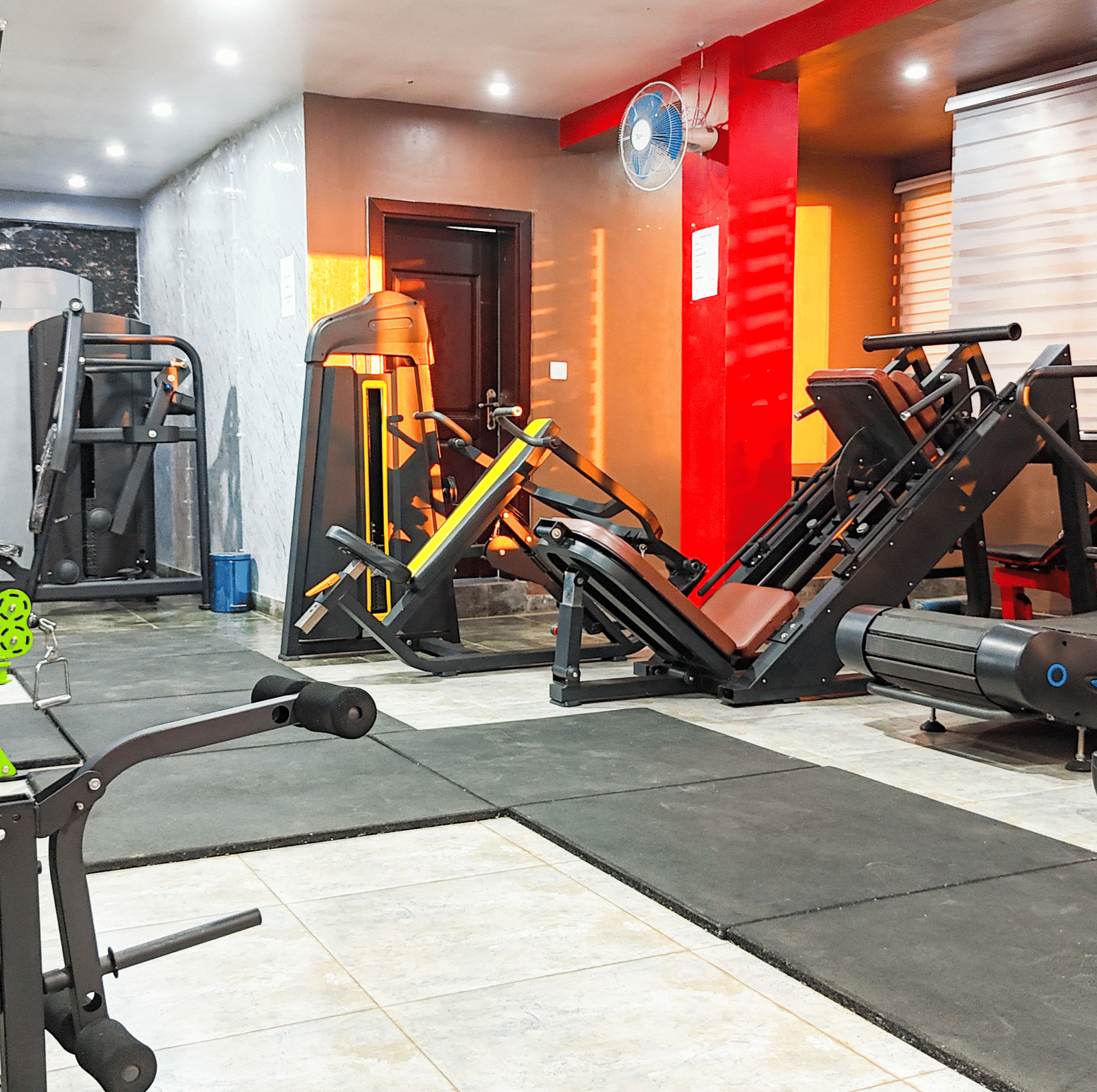 Interior view of a gym with various cardio and weight machines, including a treadmill and cycling machine - Luffu Club