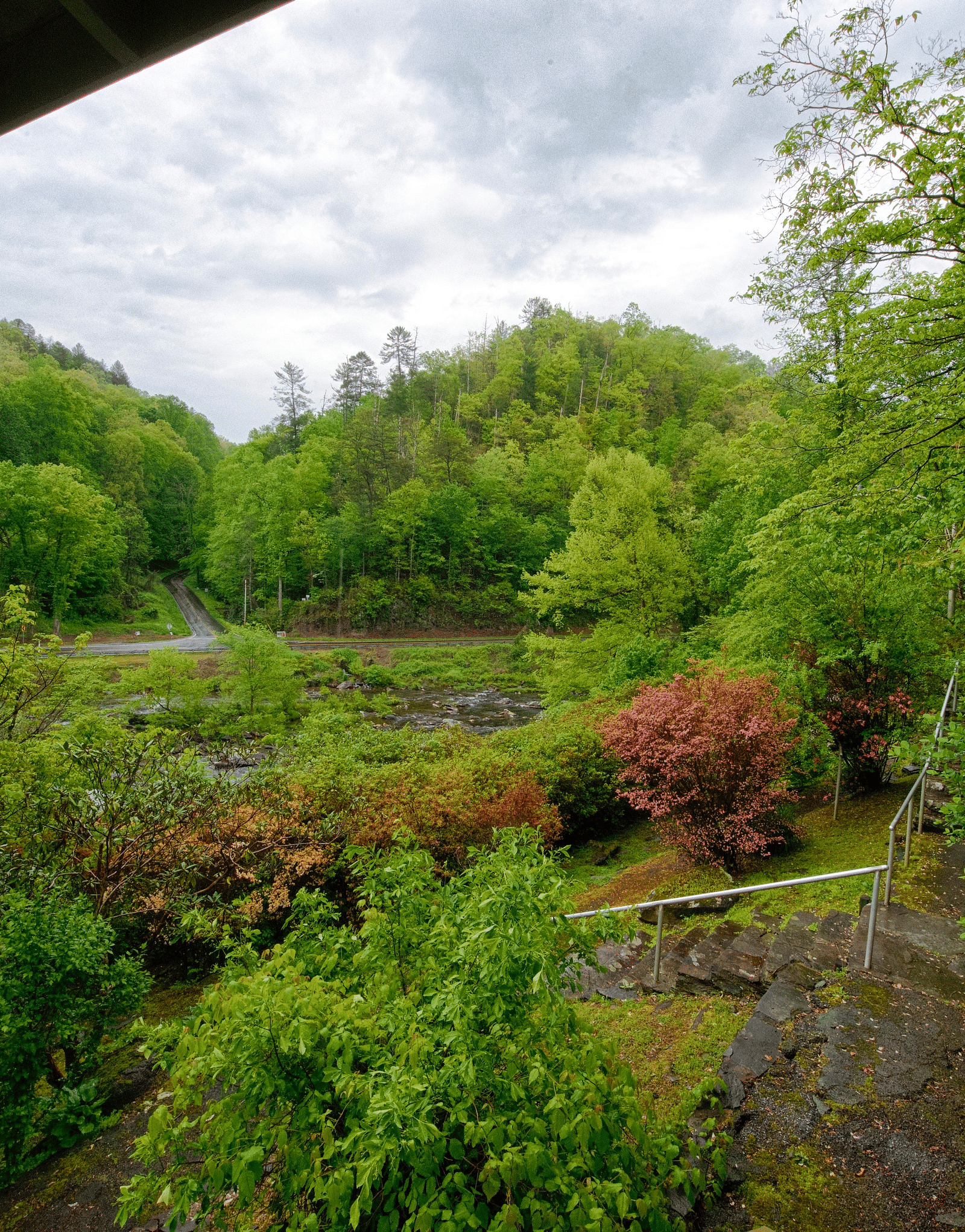 a beautiful lush green scenery from the wooden porch with a cloudy sky in the background - Historic Tapoco Lodge