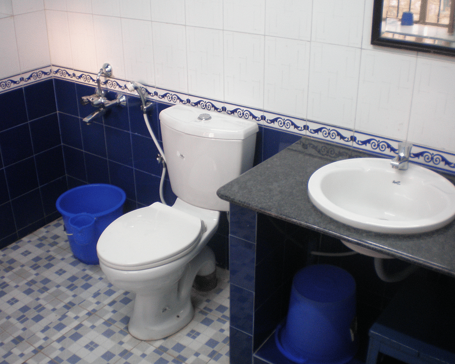 Toilet in Blue Room