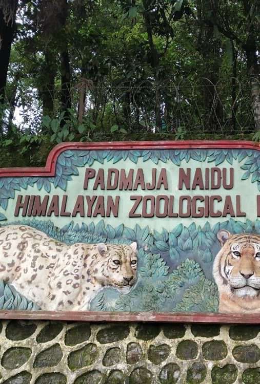 Entrance sign of Padmaja Naidu Himalayan Zoological Park, featuring painted snow leopard and tiger.
