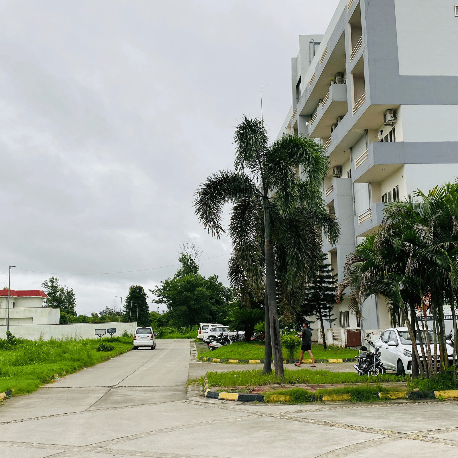 Exterior of Livbox, Rudrapur with palm trees along the driveway and green lawns on both sides.