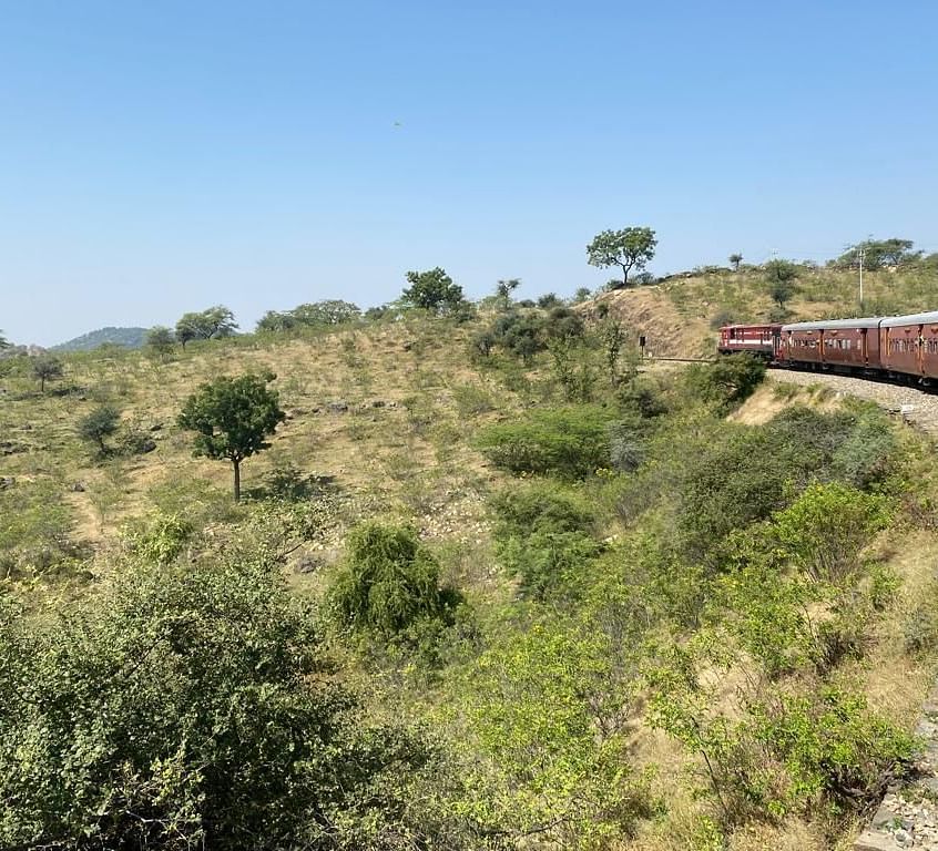 A train travelling through a grassland on a clear blue day